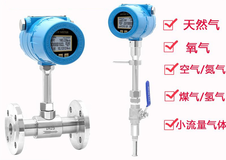 分體型熱式氣體流量計(jì)